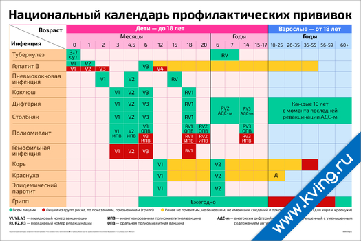 Плакат национальный календарь профилактических прививок