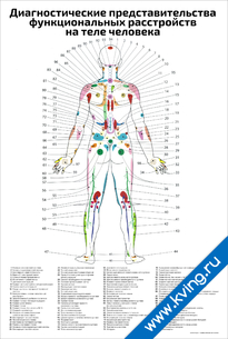 Плакат диагностические представительства  функциональных расстройств  на теле человека