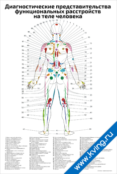 Плакат диагностические представительства функциональных расстройств на теле человека тыл