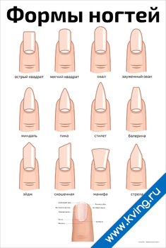 Плакат формы ногтей для маникюра