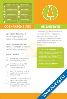 Плакат грибникам, путешественникам