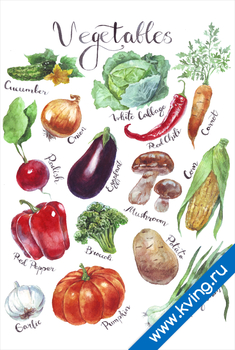 Плакат овощи ii