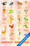 Животные II