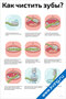 Как правильно чистить зубы?