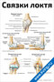 медицинский плакат с подробной анатомией связок локтевого сустава человека, схемы и подписи для изучения