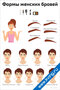 Формы бровей