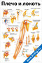 медицинский плакат с подробными анатомическими схемами плечевого и локтевого суставов, их связок, мышц и распространённых травм