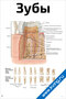 Зубы