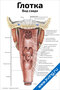 плакат с анатомическим изображением глотки сзади, с подписями основных частей и структур для медицинского изучения