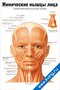 Мимические мышцы лица